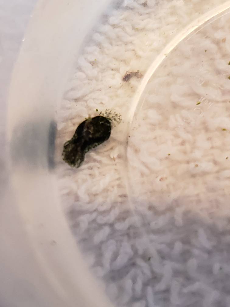 20190614_140514.jpeg