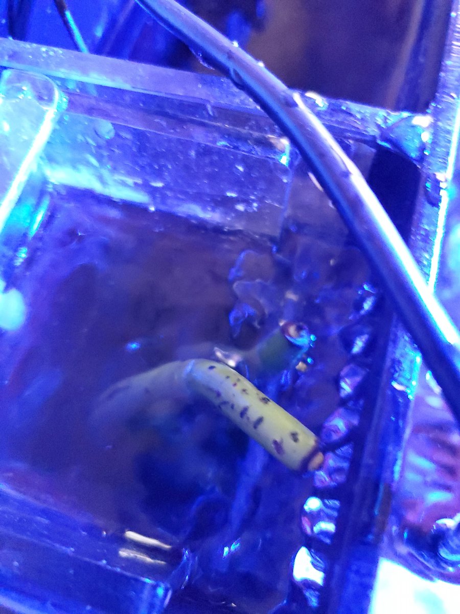 20190615_120217.jpg