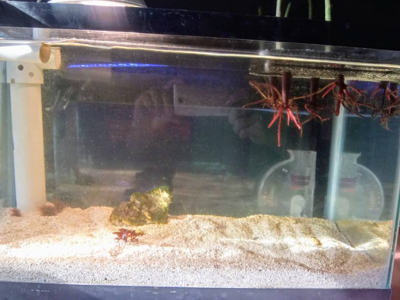 20190616_080237_HDR.jpeg