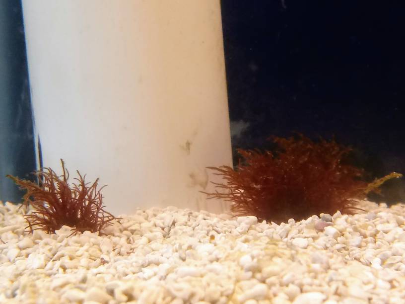 20190616_084858.jpeg