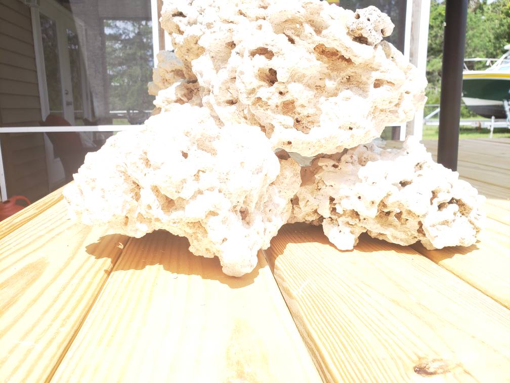 20190616_112700.jpeg