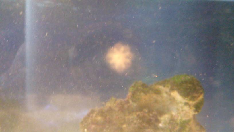 20190617_072620.jpeg