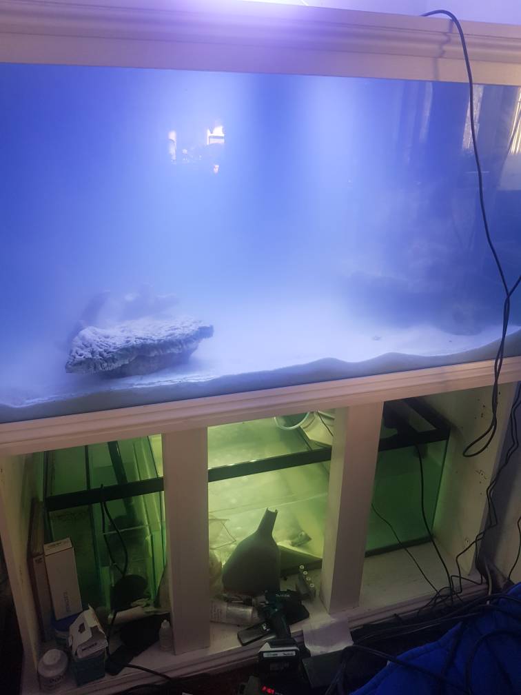 20190617_201416.jpeg