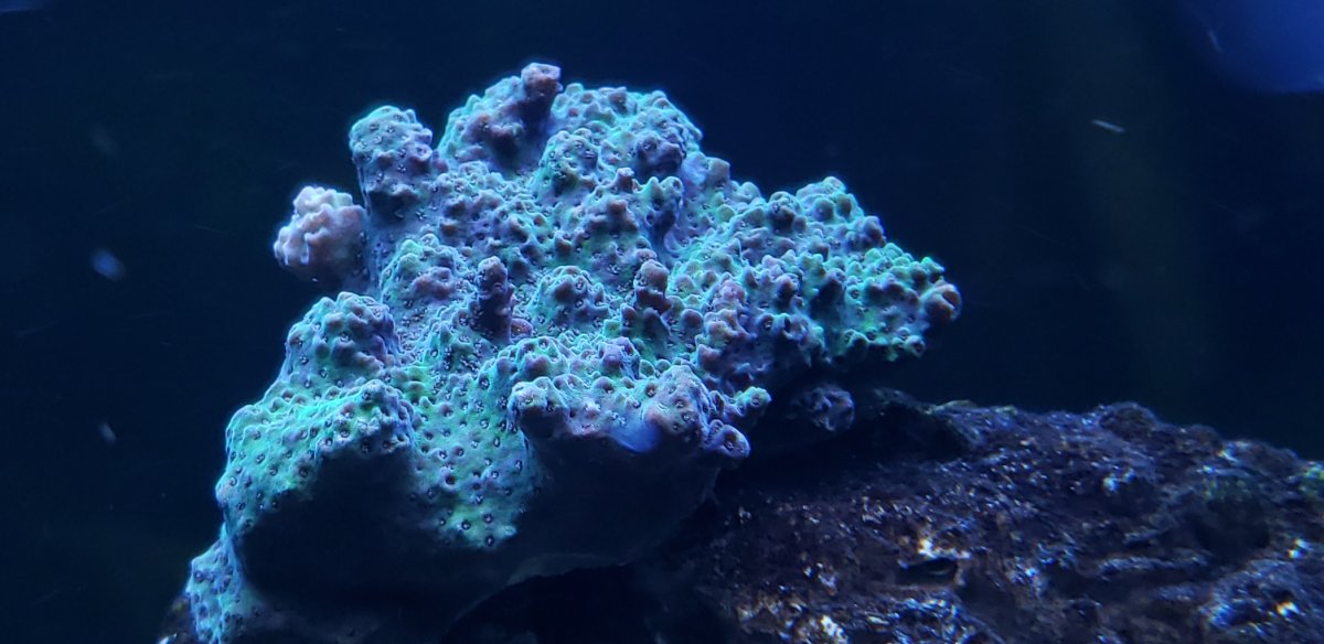 20190617_215544.jpg