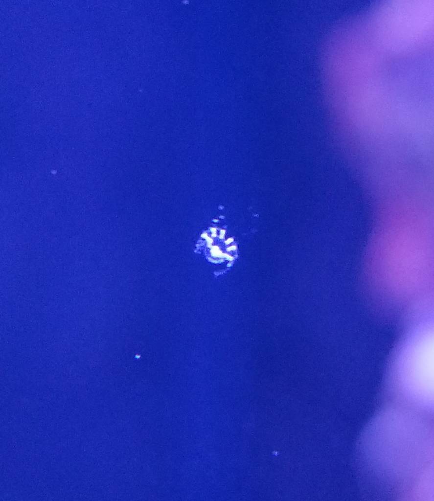 20190618_195532~2.jpeg