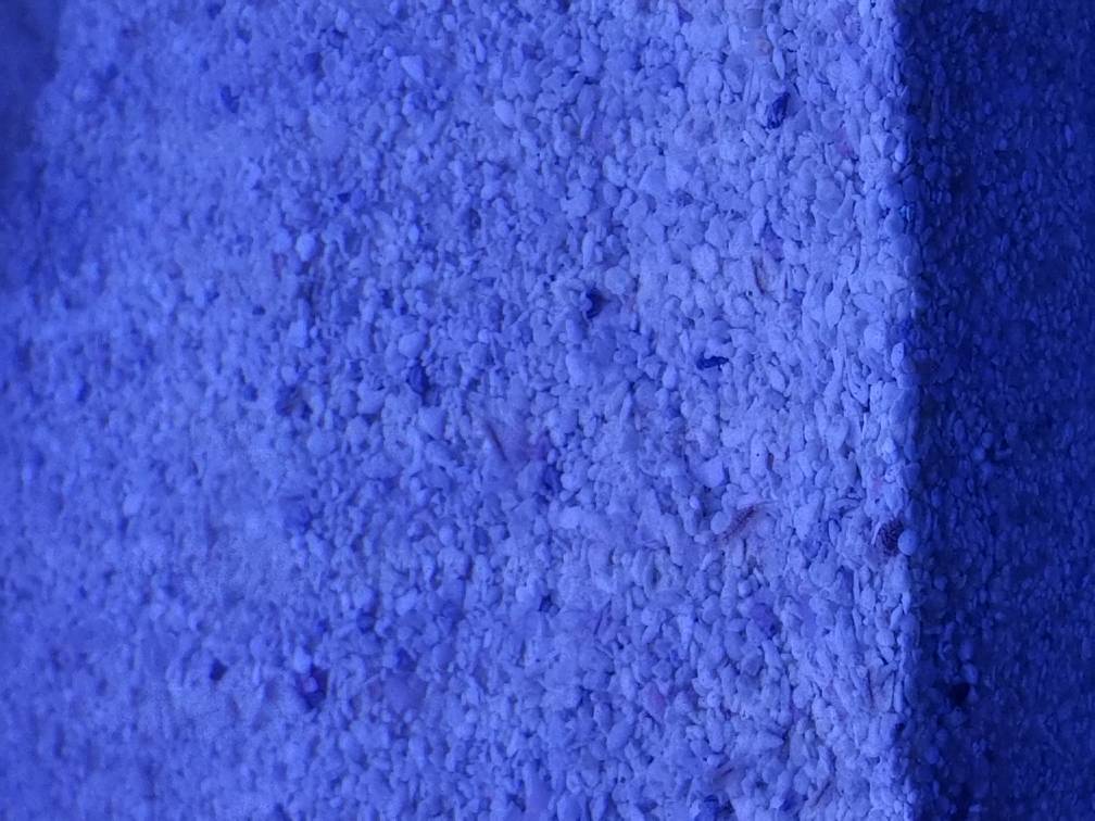 20190618_202238.jpeg