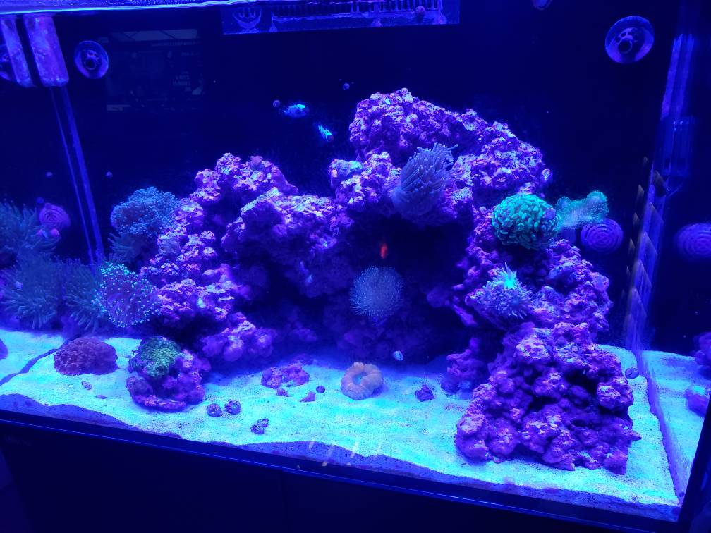 20190619_165137.jpeg