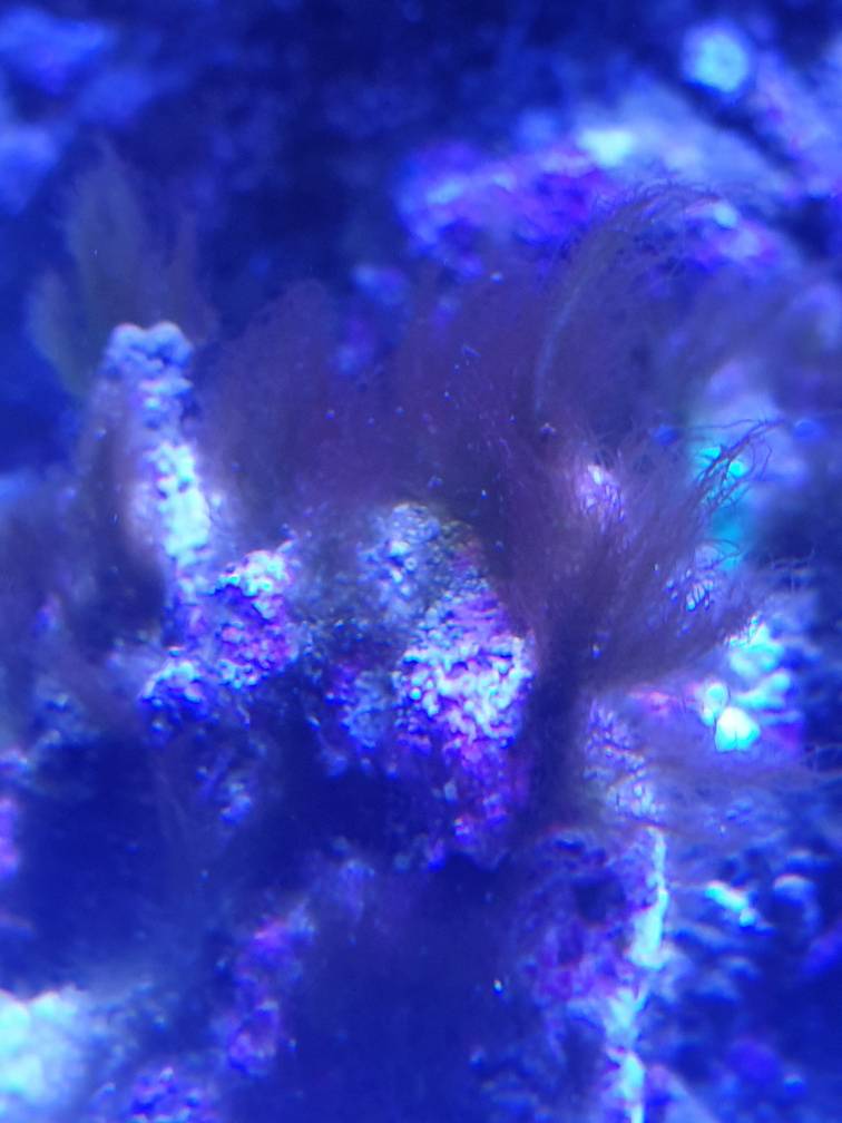 20190620_113311.jpeg