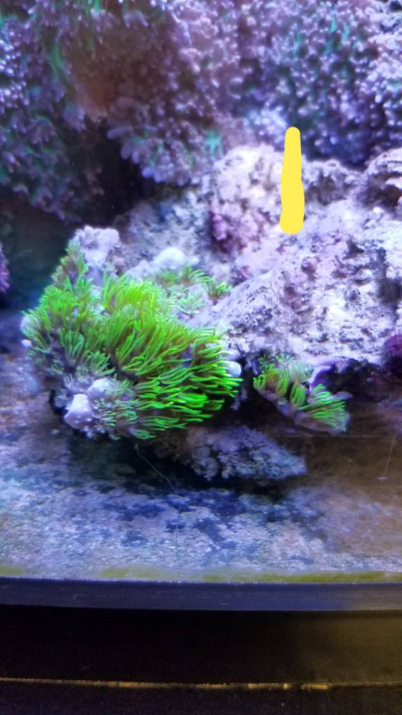 20190620_125759.jpeg