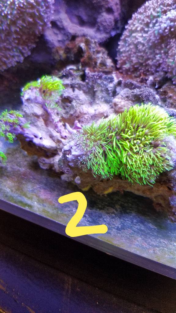 20190620_125837.jpeg