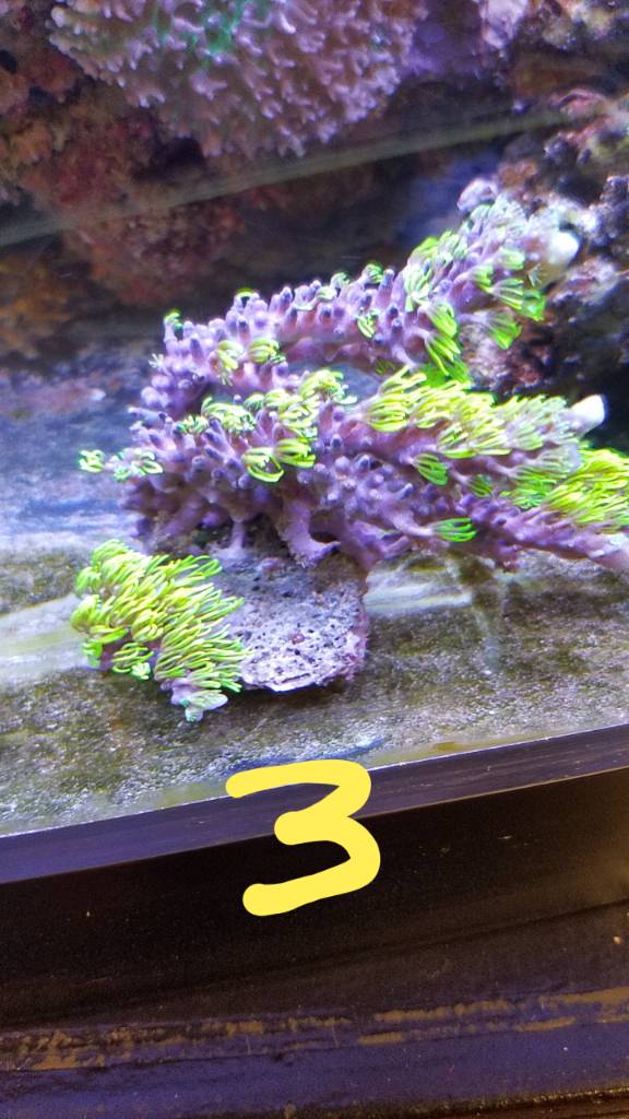 20190620_125921.jpeg