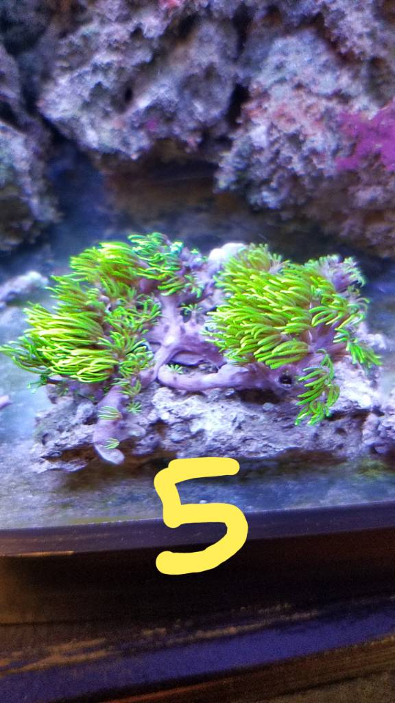 20190620_130006.jpeg