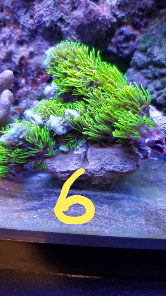 20190620_130020.jpeg
