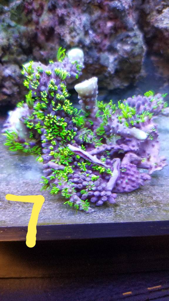 20190620_130043.jpeg
