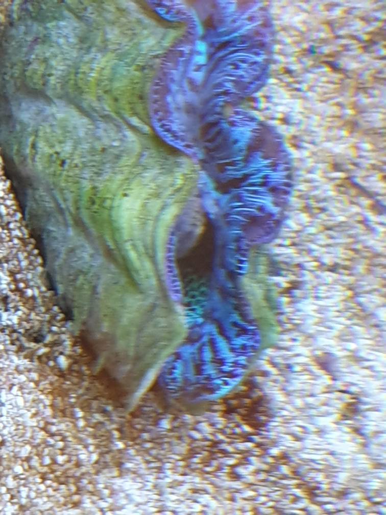 20190620_154313.jpeg