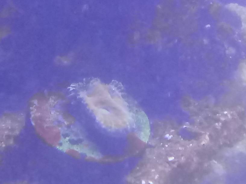 20190620_204133.jpeg