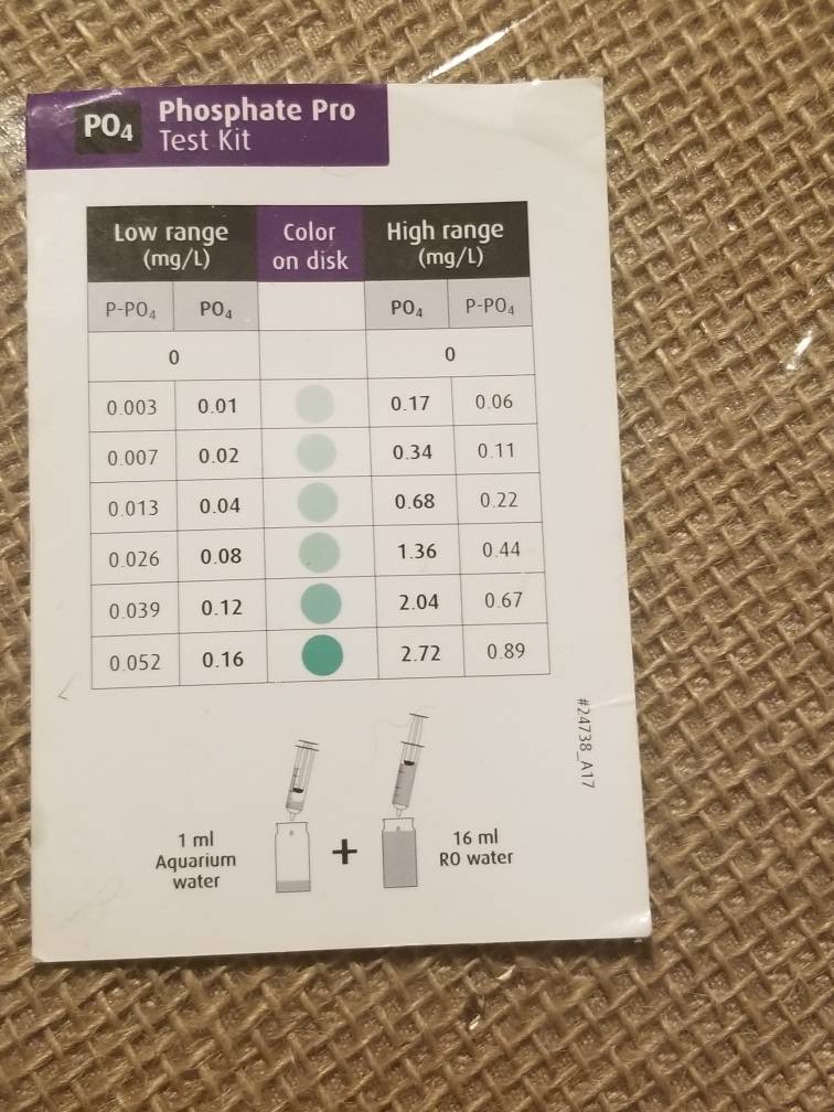 20190620_222057.jpeg