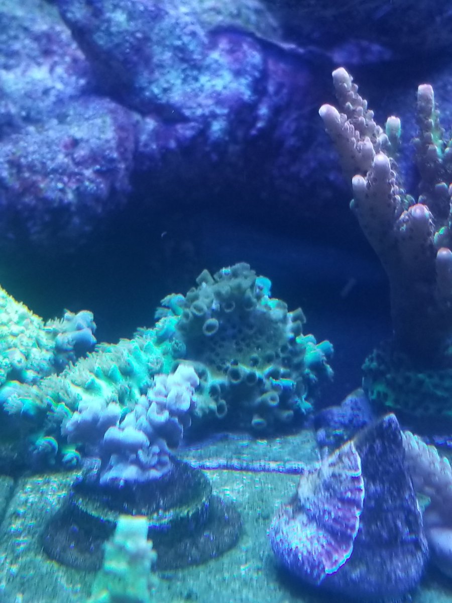 20190621_092149.jpg