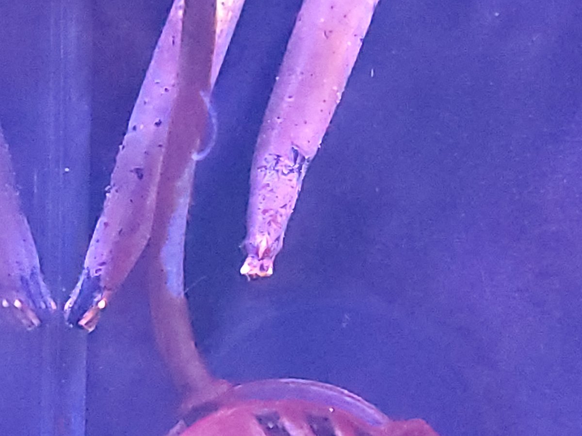 20190621_170755.jpg