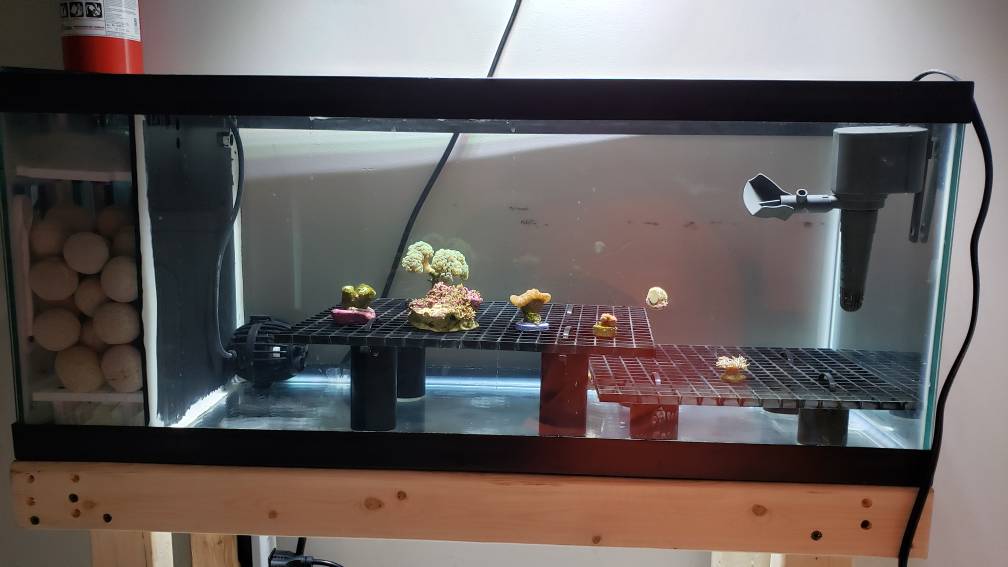 20190622_100250.jpeg