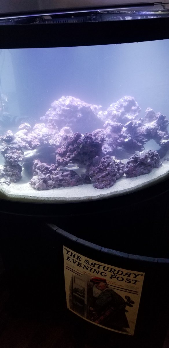 20190626_205119.jpg