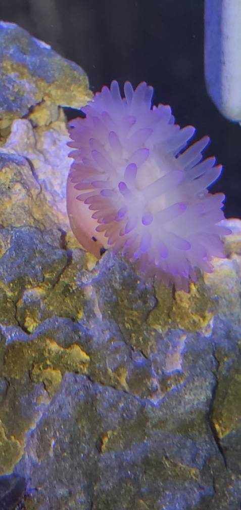 20190628_174649.jpeg