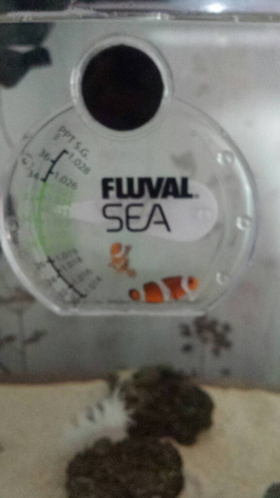 20190629_083739.jpeg