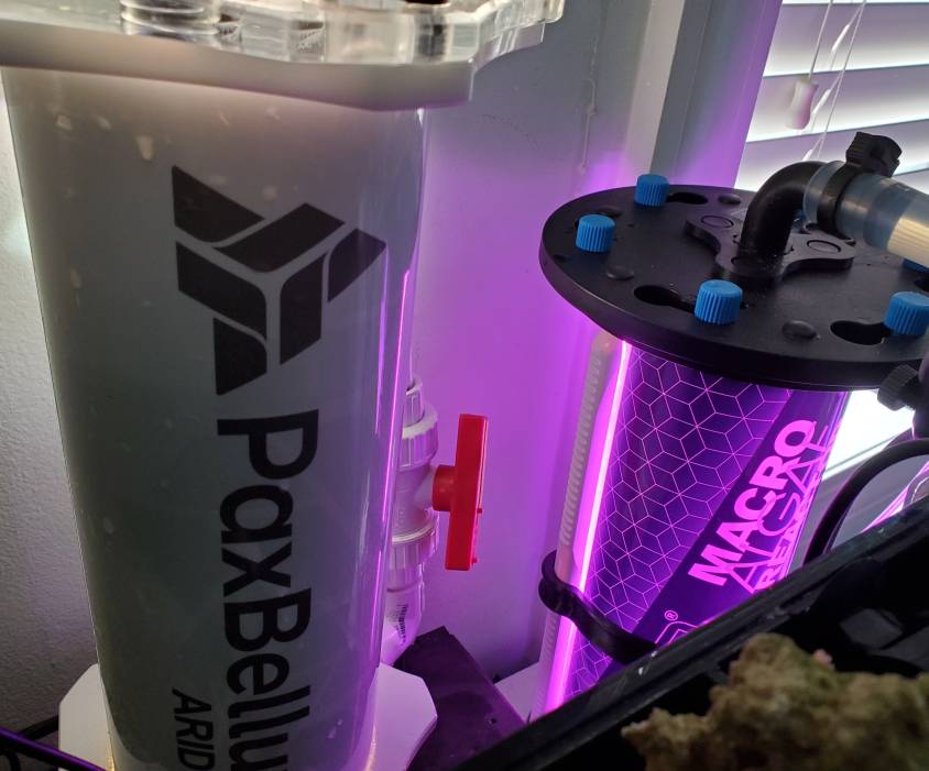 20190629_151046.jpeg