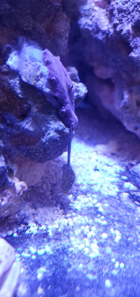 20190701_192033.jpeg