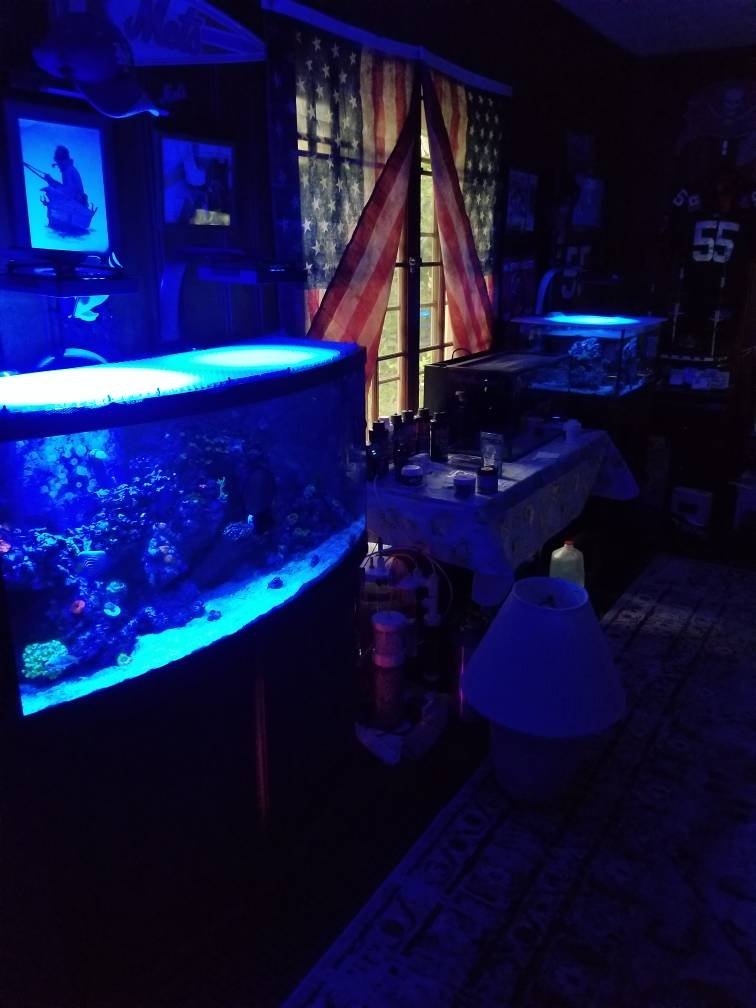 20190702_203538.jpeg