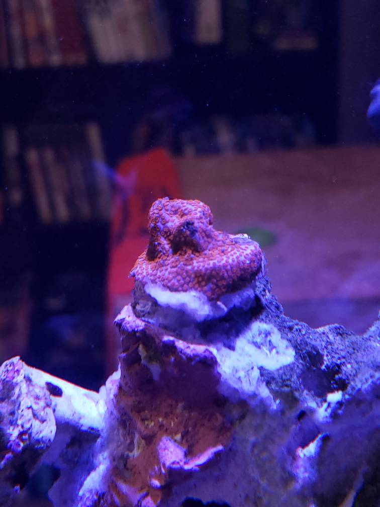 20190705_230055.jpeg