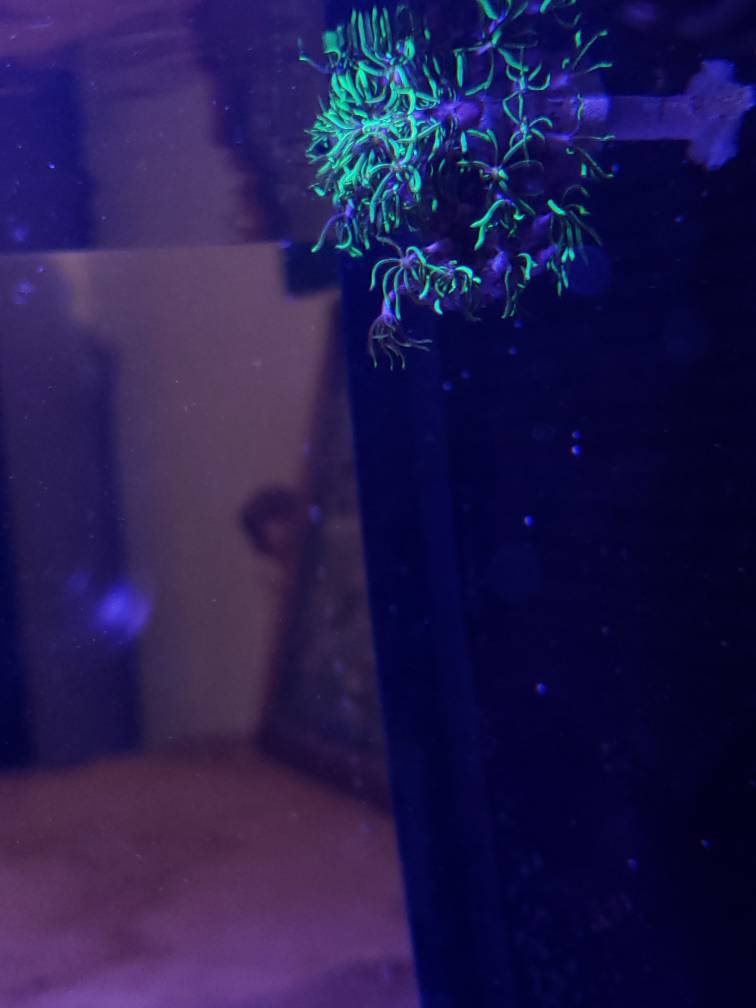 20190705_230125.jpeg