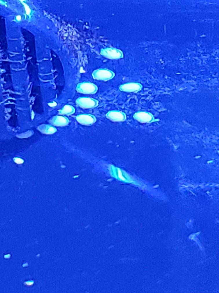 20190706_185558.jpeg