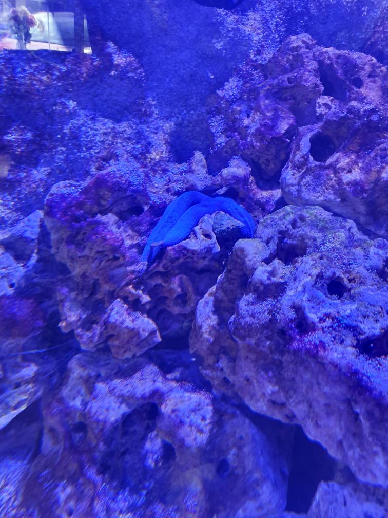 20190708_170445.jpeg