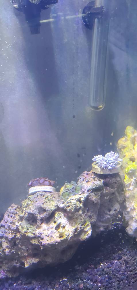 20190717_202806.jpeg