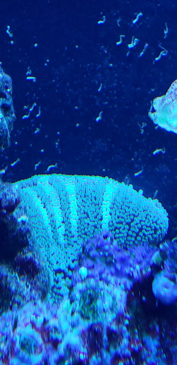 20190719_144036.jpg