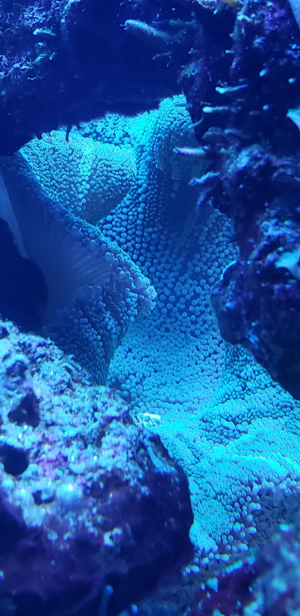 20190719_144059.jpg