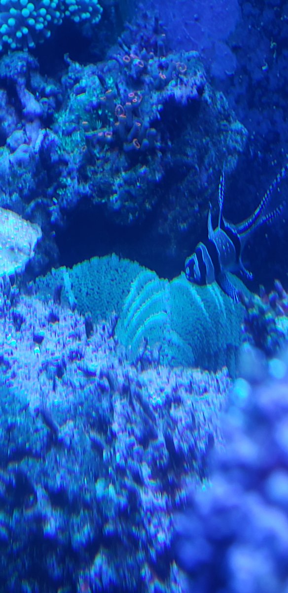 20190719_144107.jpg