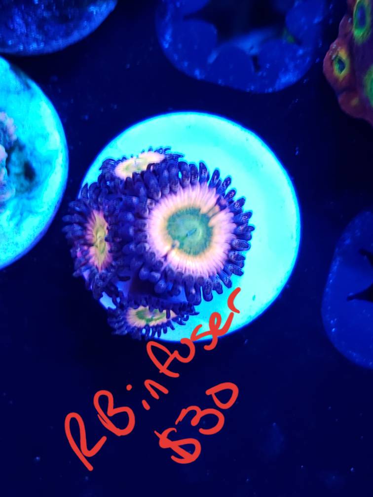 20190719_180515.jpeg