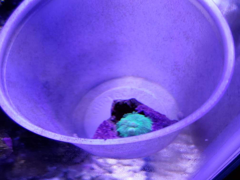 20190727_113219.jpeg