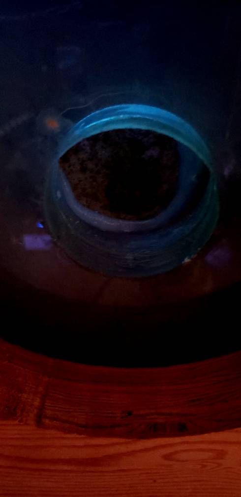 20190729_162246.jpeg