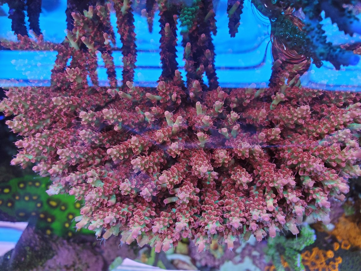 20190730_101728.jpg