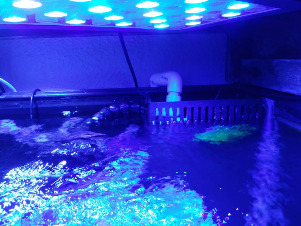 20190801_135325_HDR.jpeg