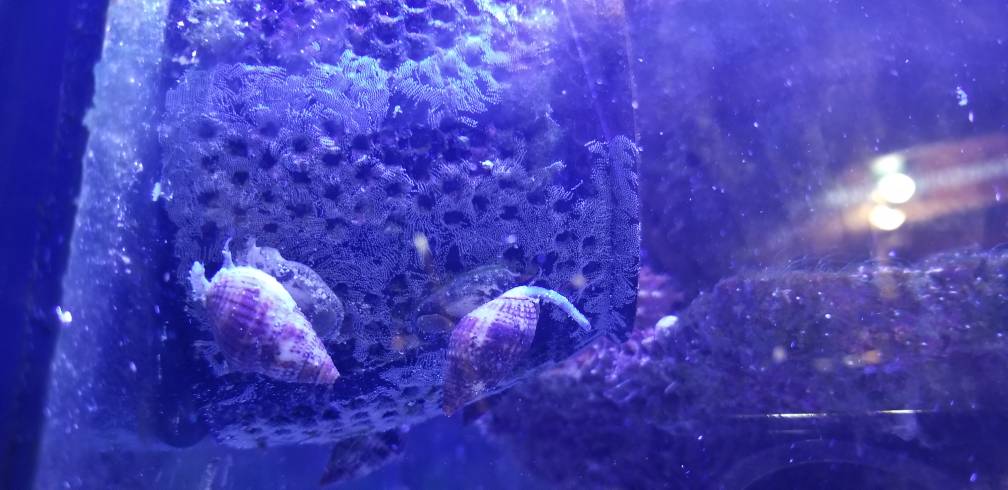 20190803_113107.jpeg