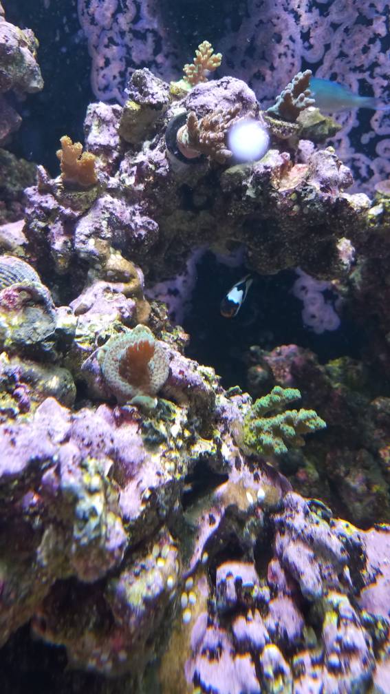 20190804_100303.jpeg