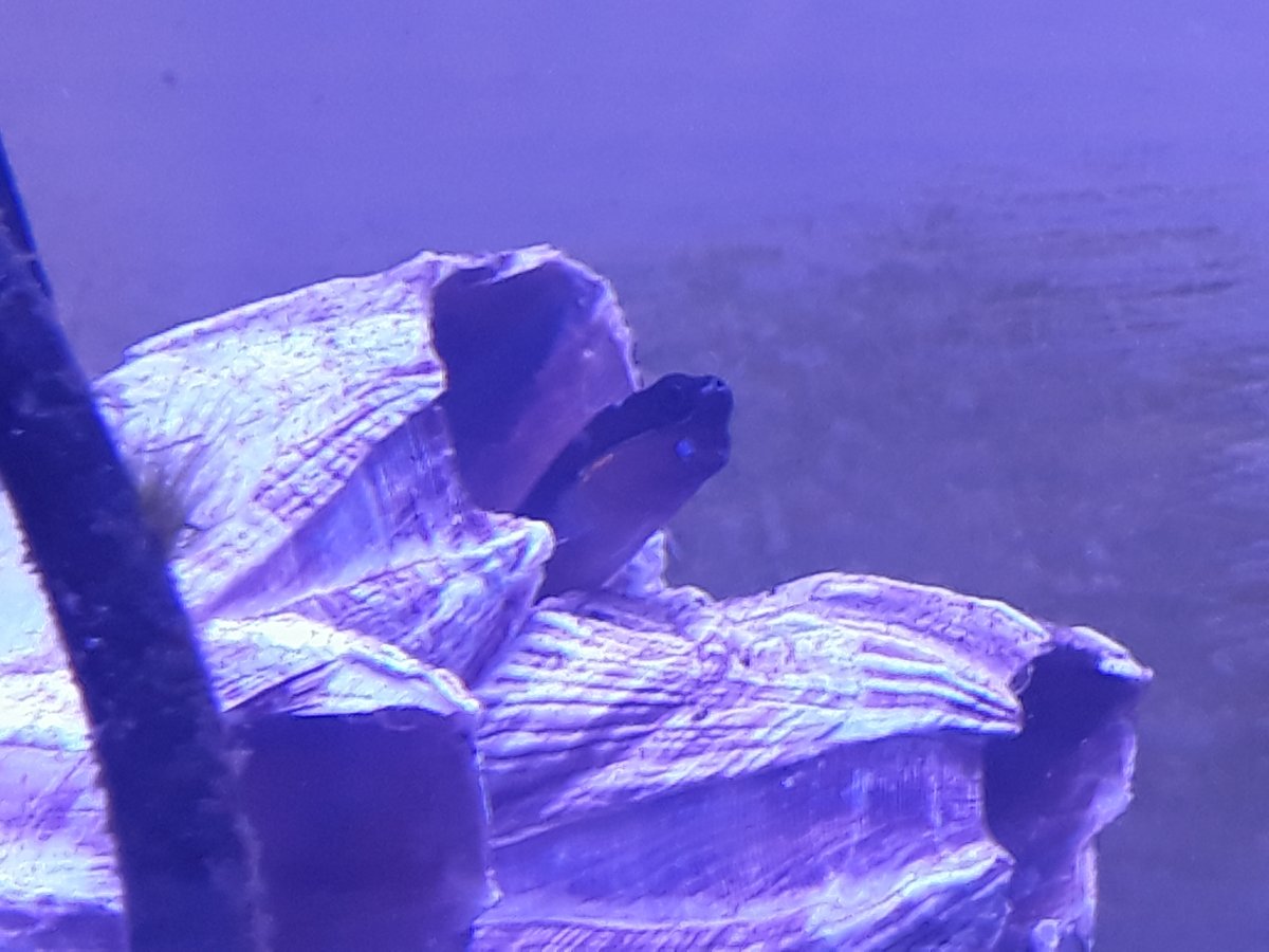 20190809_151349.jpg