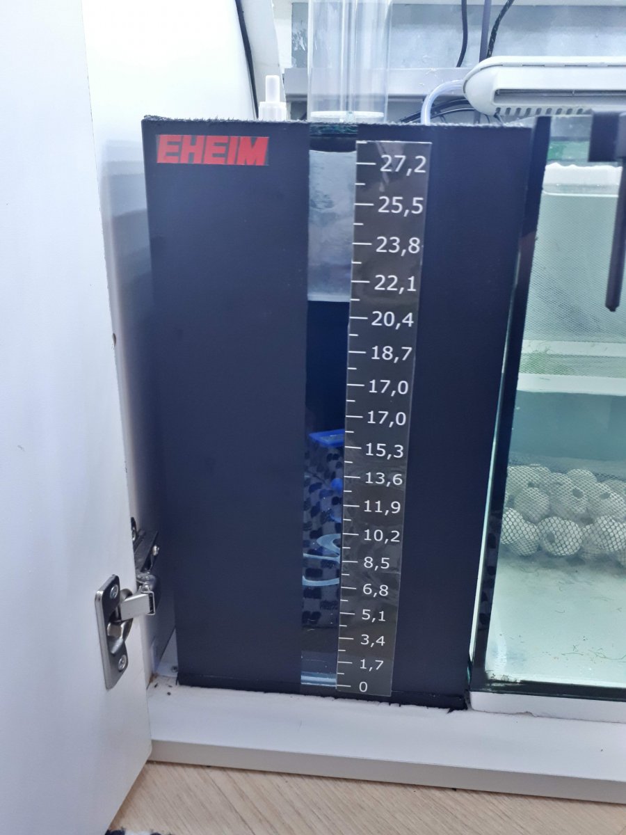 20190901_155206.jpg