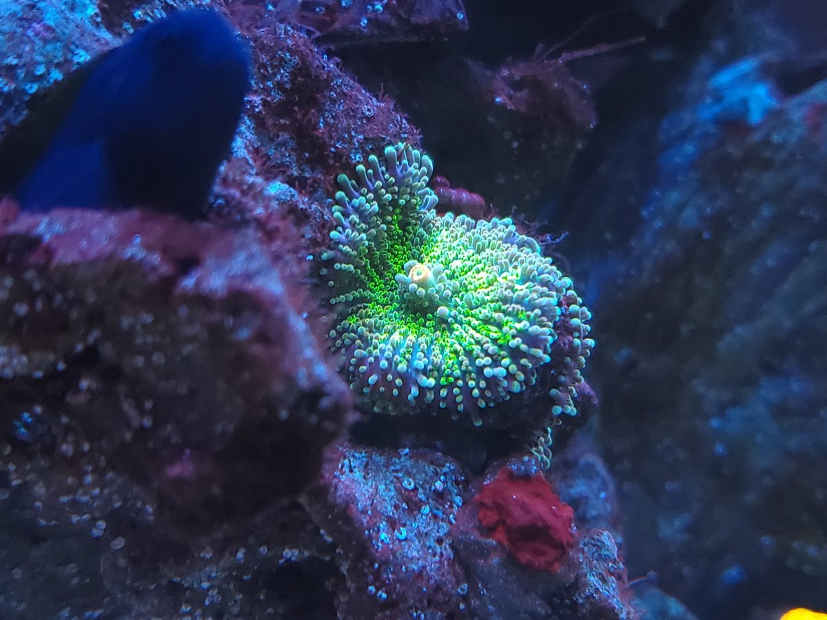 20190915_214132.jpg