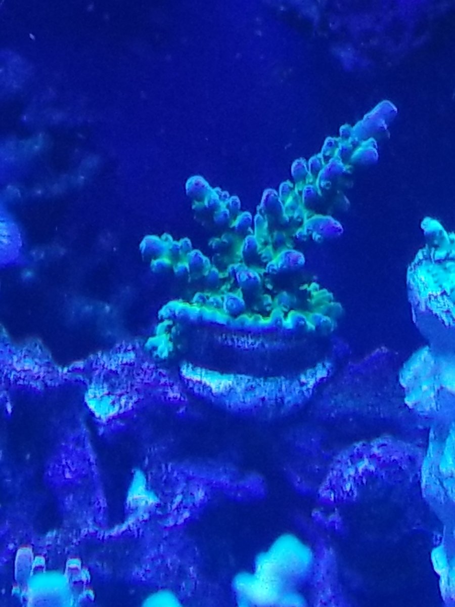 20190917_234635.jpg