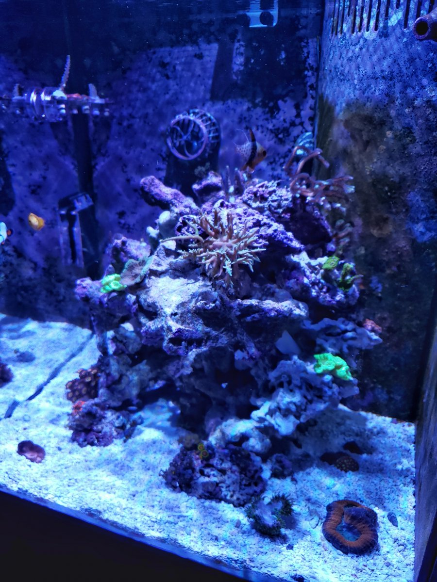 20190918_191349-01.jpeg
